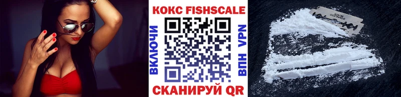 купить наркотик  Юхнов  Кокаин Эквадор 