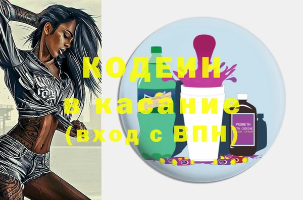 индика Шарыпово