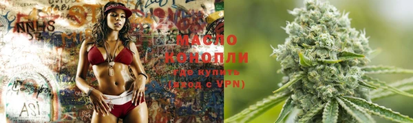тгк Михайлов
