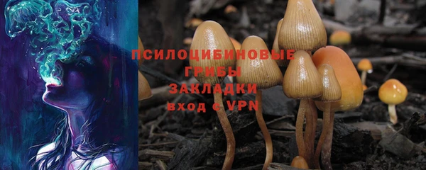 тгк Михайлов