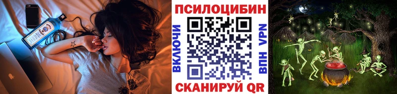 блэк спрут как зайти  Юхнов  Галлюциногенные грибы Cubensis 